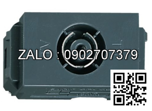 Ổ cắm Panasonic WEV2501H