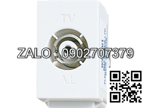 Ổ cắm Panasonic WEV2501SW