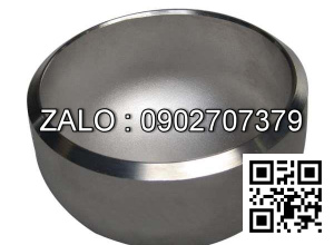 Chén hàn SCH10 gang DN100