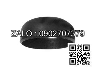 Chén hàn SCH40 gang DN20