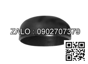 Chén hàn SCH40 gang DN200