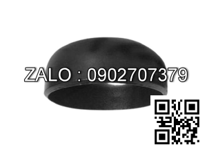 Chén hàn SCH40 gang DN400