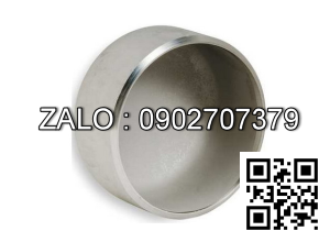 Chén hàn SCH40 mạ kẽm DN300