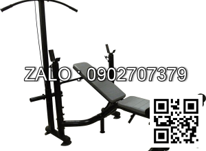 Giàn tạ nằm và đứng có xô Life 408
