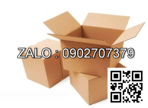 Thùng hộp carton 30x20x10