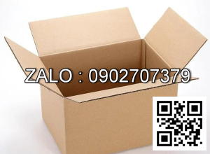 Thùng Carton 100 x 100 x 50mm