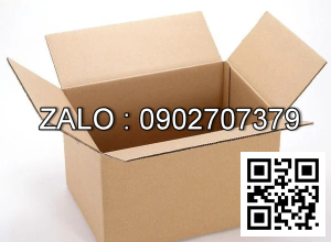 Thùng Carton 180 x 100 x 50mm