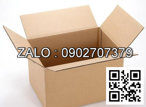 Thùng Carton 200 x 100 x 100mm
