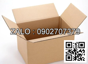 Thùng Carton 250 x 200 x 100mm