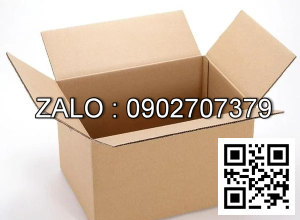 Thùng Carton 250 x 250 x 200mm