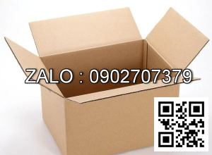 Thùng Carton 350 x 250 x 250mm