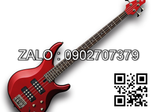 Đàn Electric Bas Guitar HB-370(MRD)