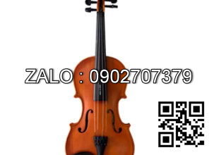Đàn Violin Harper AGW 208-1/4