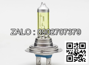 Bóng đèn H7 24V 70W Phủ Vàng