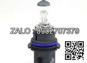 Bóng đèn 9004 12V 65/45W