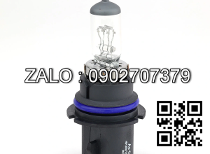 Bóng đèn 9004 12V 65/45W Phủ Xanh