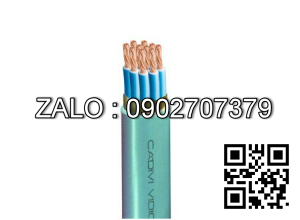 CDV cáp ĐKCN - DVV/Sc 12x1 mm