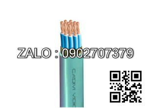CDV cáp ĐKCN - DVV/Sc 12x4,0 mm