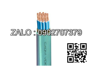 CDV cáp ĐKCN - DVV/Sc 12x0,5 mm