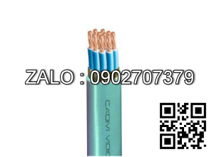 CDV cáp ĐKCN - DVV/Sc 12x10 mm