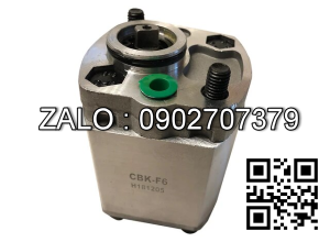 Bơm bánh răng CBA-B63 Lưu lượng: 63 ml/v Áp suất 1.6 MPa