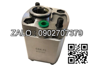 Bơm bánh răng CBY3050 Lưu lượng: 50.3 ml/v Áp suất 20-25 MPa