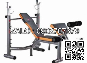 Ghế tập tạ GM4360