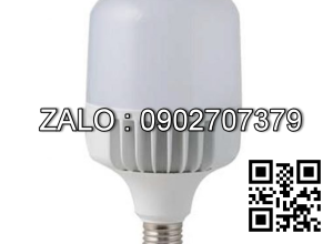 Bóng đèn LED Búp Trụ 40W TR100/40W Rạng Đông
