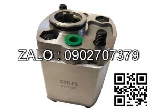 Bơm bánh răng CB1E-F6 Lưu lượng: 6.16 ml/v Áp suất 20/25/28 Mpa