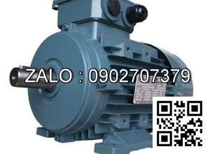 Motor chân đế 3 pha TransmaX 2.2kW (1500 RPM) 4 cực Vỏ gang
