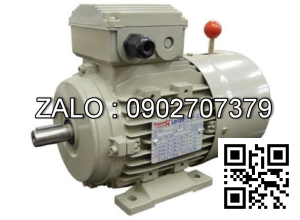 Motor mặt bích 3 pha TransmaX 1.5kW (1000 RPM) 6 cực Vỏ nhôm