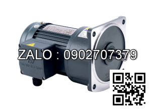 Motor giảm tốc 3 pha mặt bích TransmaX 200W 1/50 22mm