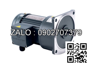 Motor giảm tốc 3 pha mặt bích TransmaX 200W 1/30 22mm