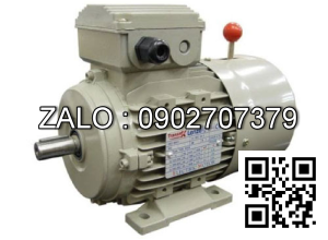 Motor mặt bích 3 pha TransmaX 250kW (1000 RPM) 6 cực Vỏ gang