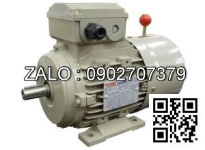 Motor mặt bích 3 pha TransmaX 55kW (1000 RPM) 6 cực Vỏ gang