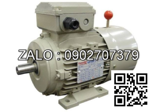 Motor mặt bích 3 pha TransmaX 30kW (1000 RPM) 6 cực Vỏ gang