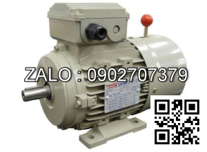 Motor mặt bích 3 pha TransmaX 1.1kW (1000 RPM) 6 cực Vỏ gang