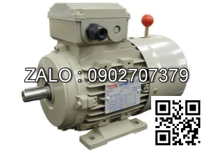 Motor mặt bích 3 pha TransmaX 220kW (1500 RPM) 4 cực Vỏ gang