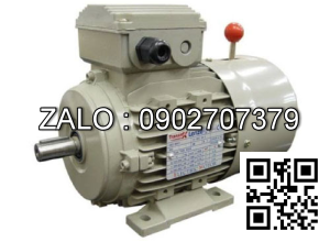 Motor mặt bích 3 pha TransmaX 160kW (1500 RPM) 4 cực Vỏ gang