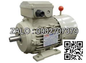 Motor mặt bích 3 pha TransmaX 132kW (1500 RPM) 4 cực Vỏ gang