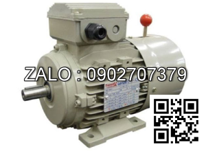 Motor mặt bích 3 pha TransmaX 37kW (1500 RPM) 4 cực Vỏ gang