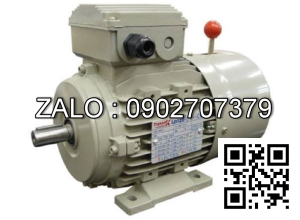 Motor mặt bích 3 pha TransmaX 30kW (1500 RPM) 4 cực Vỏ gang