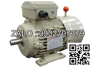 Motor mặt bích 3 pha TransmaX 0.55kW (1500 RPM) 4 cực Vỏ gang