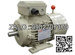 Motor mặt bích 3 pha TransmaX 132kW (3000 RPM) 2 cực Vỏ gang