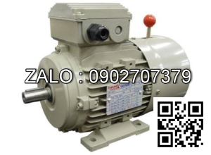 Motor mặt bích 3 pha TransmaX 15kW (3000 RPM) 2 cực Vỏ gang