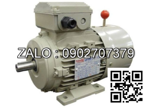 Motor mặt bích 3 pha TransmaX 0.75kW (3000 RPM) 2 cực Vỏ gang