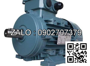 Motor chân đế 3 pha TransmaX 55kW (1000 RPM) 6 cực Vỏ gang