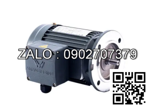 Motor giảm tốc 3 pha mặt bích Wanshsin GV40-3700W-10S
