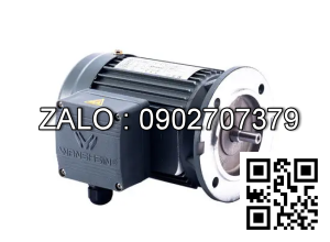 Motor giảm tốc 3 pha mặt bích Wanshsin GV50-2200W-140S