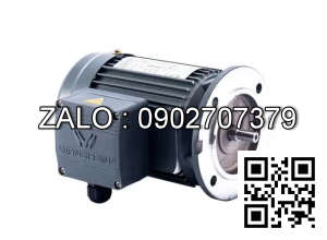 Motor giảm tốc 3 pha mặt bích Wanshsin GV40-1500W-60S